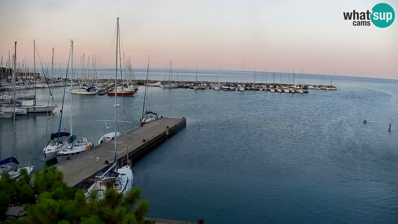 Webcam Sistiana Baia – Live View of the Marina and Gulf