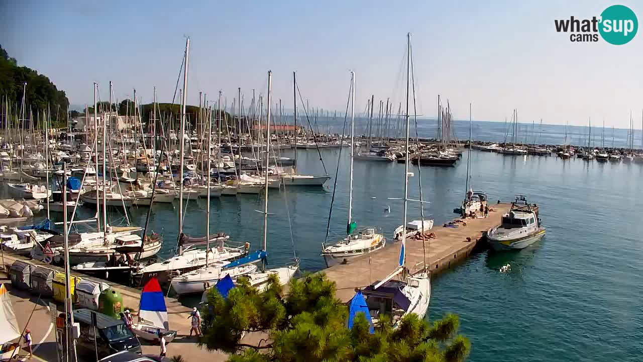 Webcam Baie de Sistiana – Vue en direct de la marina et de la baie
