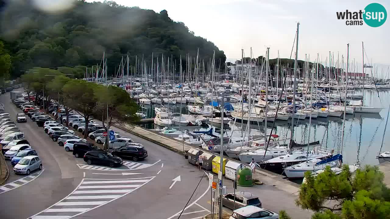 Webcam Sistiana Baia – Live View of the Marina and Gulf