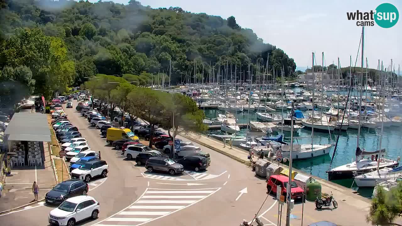 Webcam Sistiana Baia – Live View of the Marina and Gulf