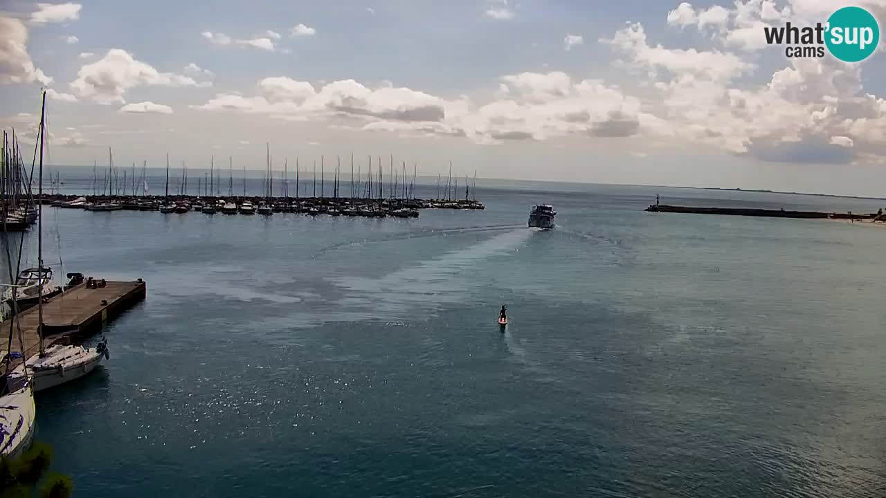 Webcam Sistiana Baia – Live View of the Marina and Gulf
