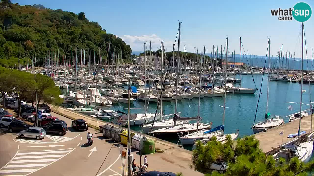 Webcam Sistiana Baia – Live View of the Marina and Gulf