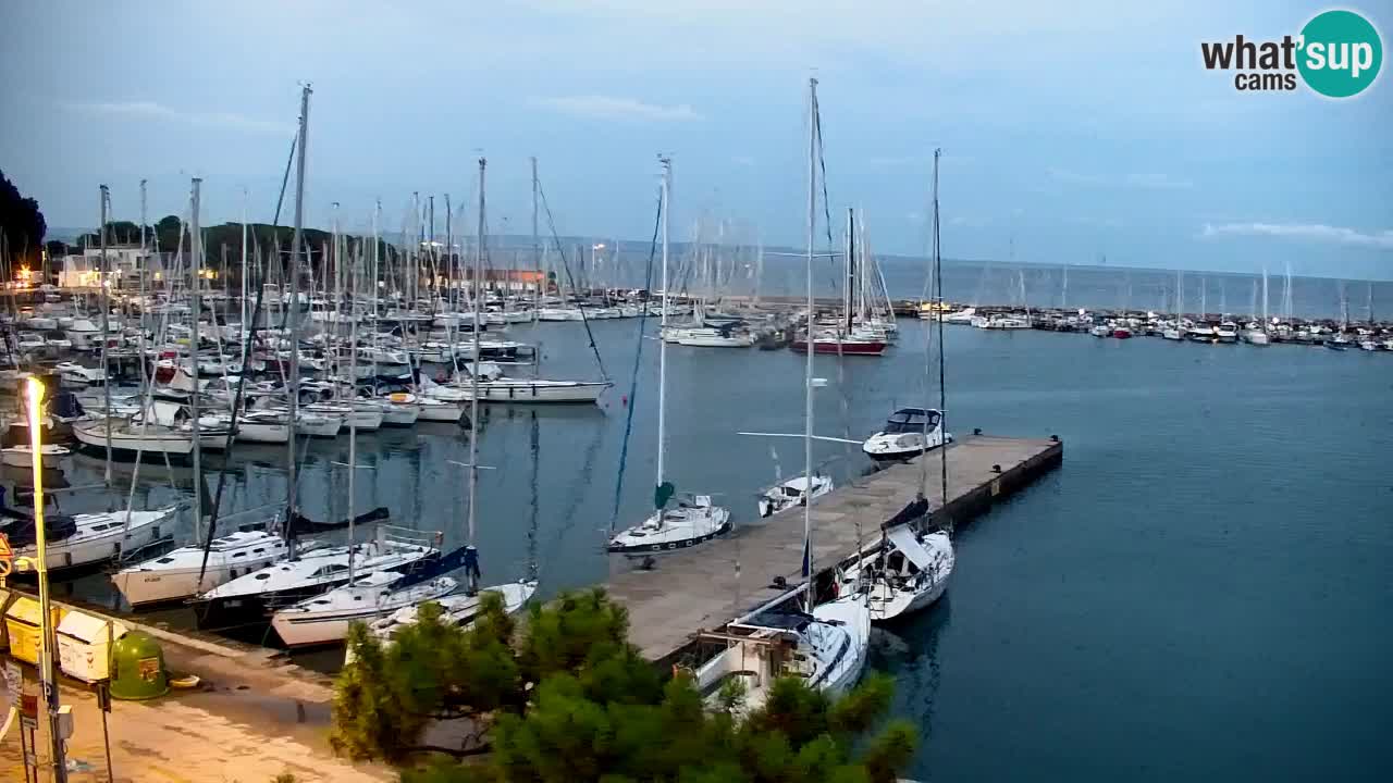 Web kamera Sistiana Uvala – Pogled uživo na marinu i zaljev