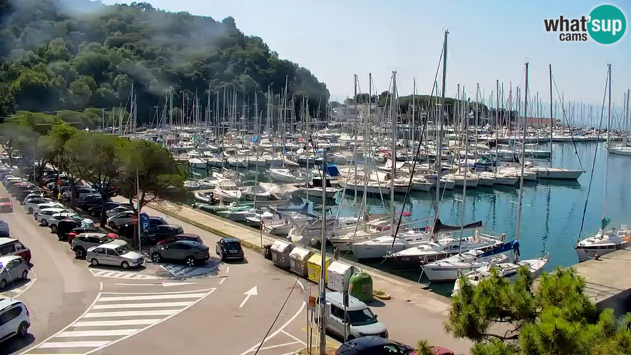 Web kamera Sistiana Uvala – Pogled uživo na marinu i zaljev