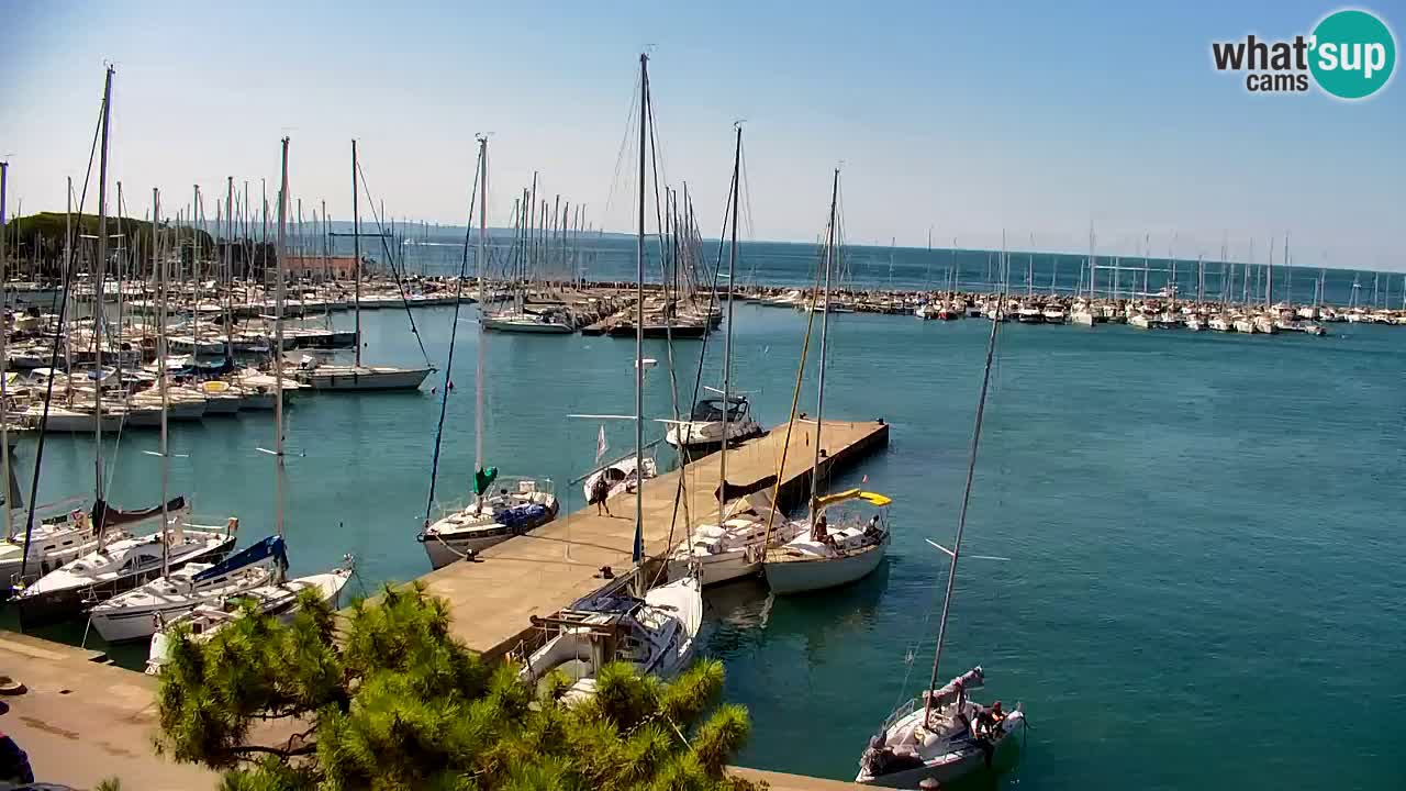 Web kamera Sistiana Uvala – Pogled uživo na marinu i zaljev