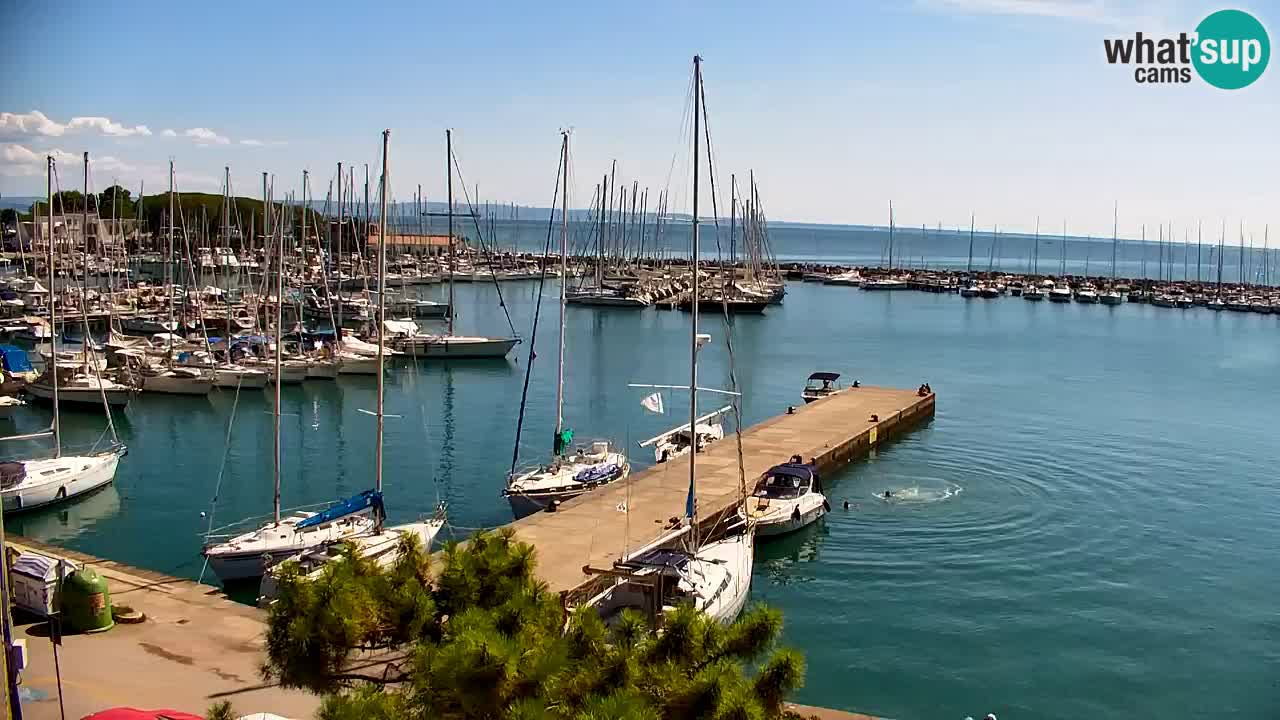 Webcam Sistiana Baia – Live View of the Marina and Gulf