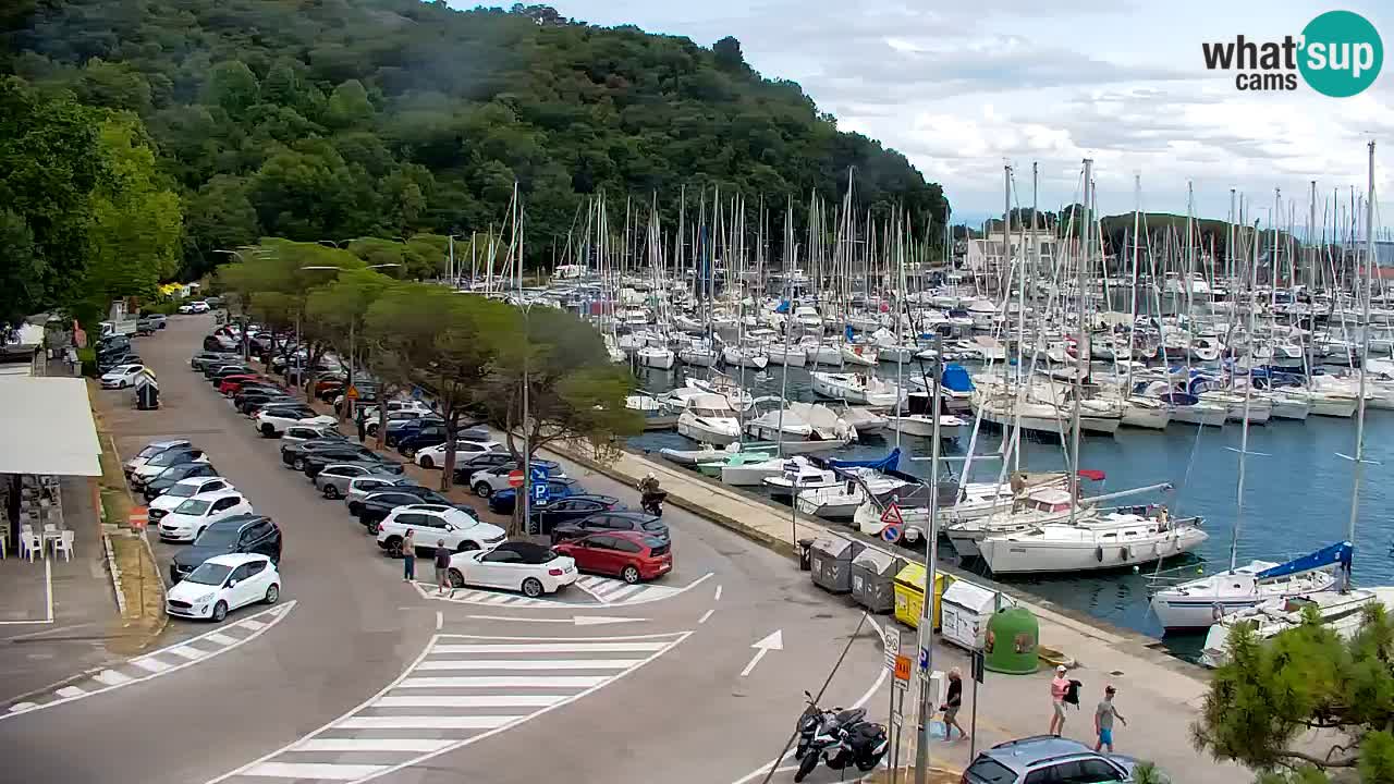 Webcam Sistiana Baia – Live View of the Marina and Gulf