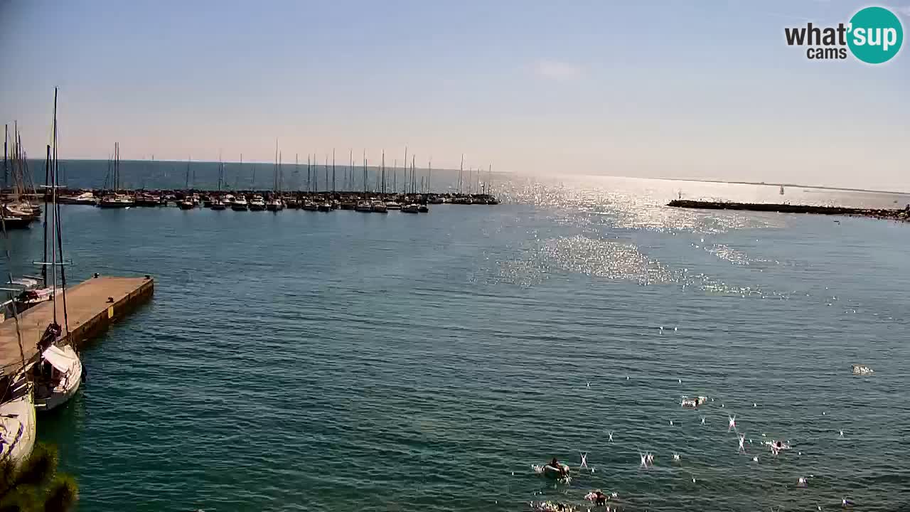 Webcam Sistiana Bucht – Liveblick auf Marina und Bucht
