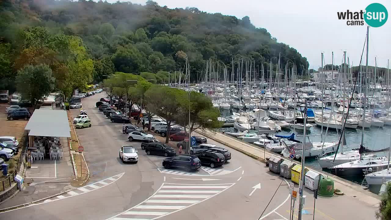Webcam Baie de Sistiana – Vue en direct de la marina et de la baie