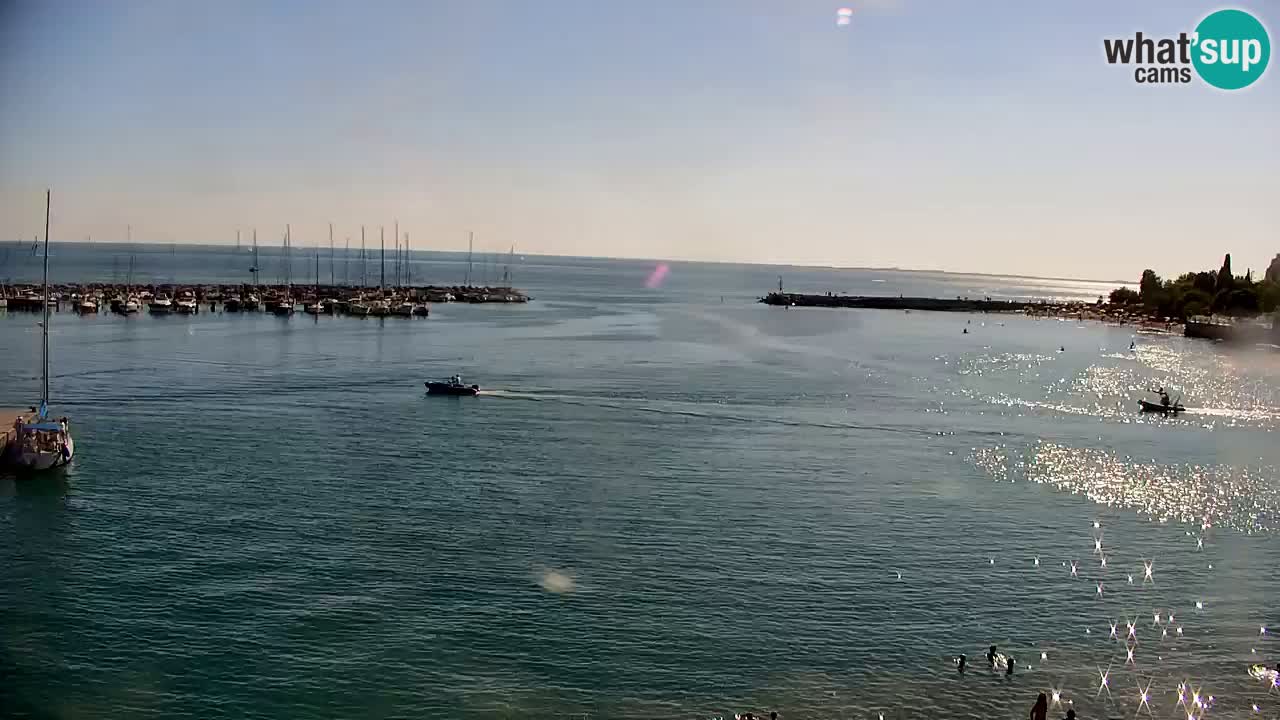 Webcam Sistiana Baia – Live View of the Marina and Gulf