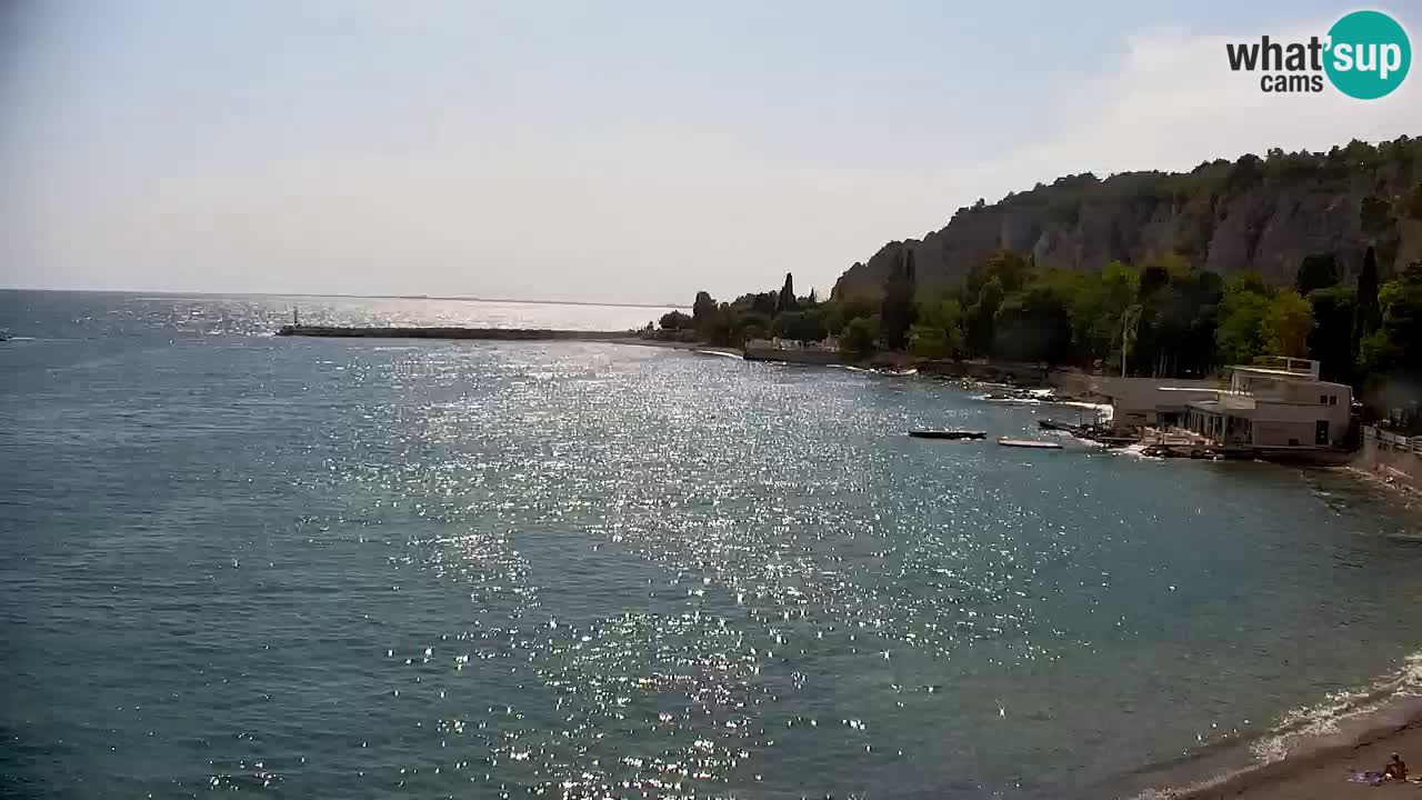 Webcam Bahía de Sistiana – Vista en directo del puerto deportivo y la costa