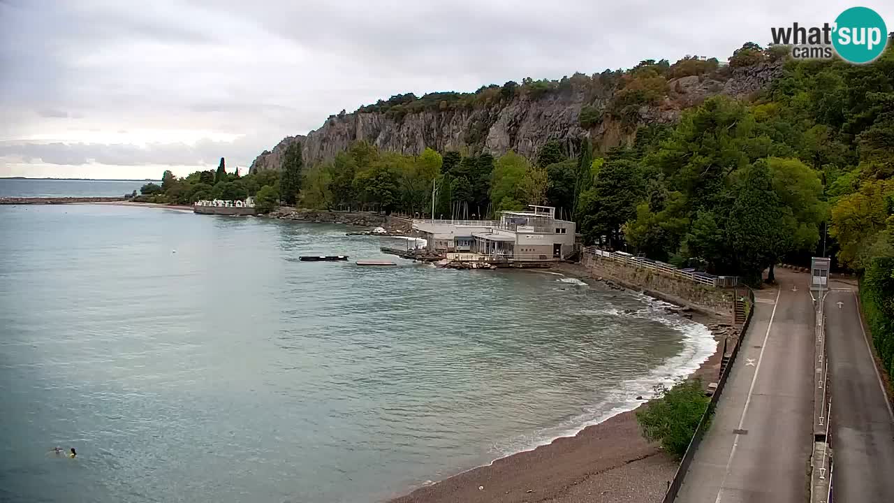 Webcam Bahía de Sistiana – Vista en directo del puerto deportivo y la costa