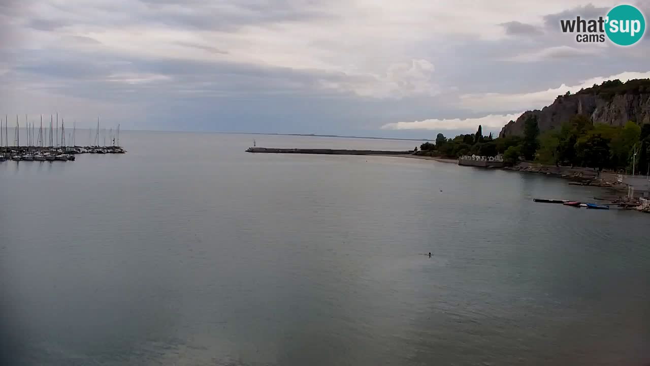 Webcam Bahía de Sistiana – Vista en directo del puerto deportivo y la costa