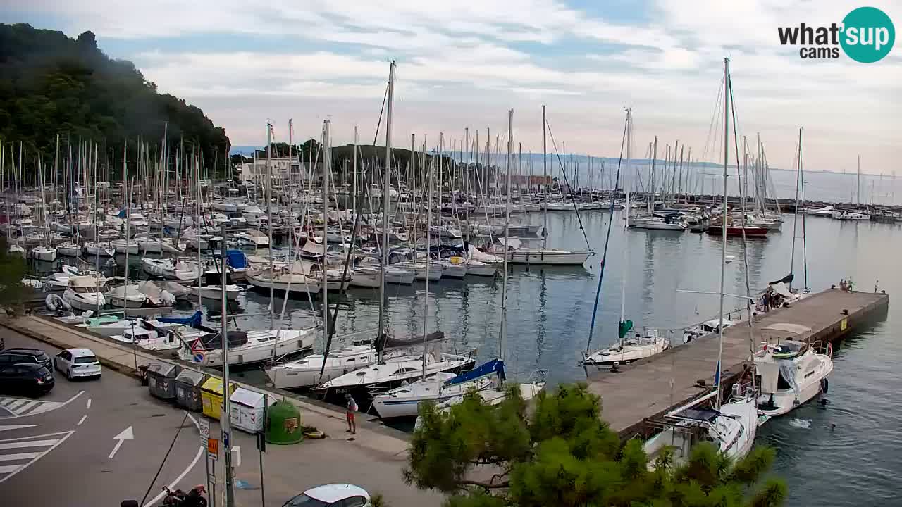 Webcam Sistiana Baia – Live View of the Marina and Gulf