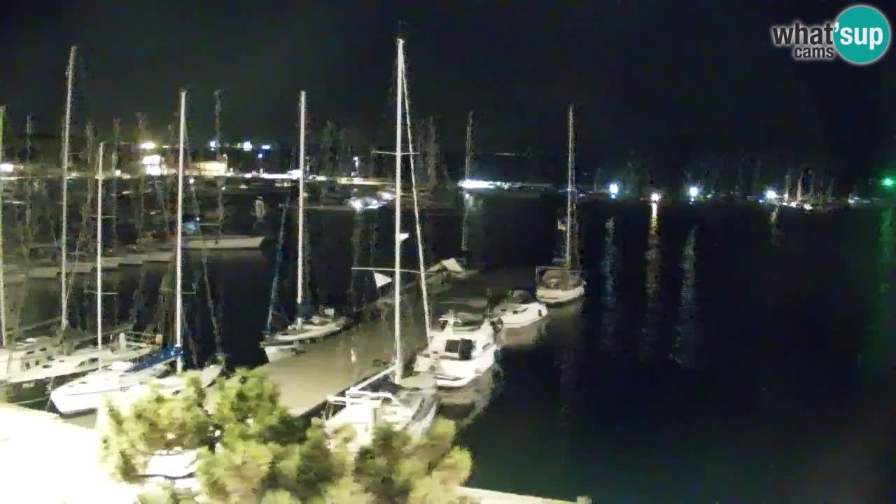 Webcam Sistiana Baia – Live View of the Marina and Gulf