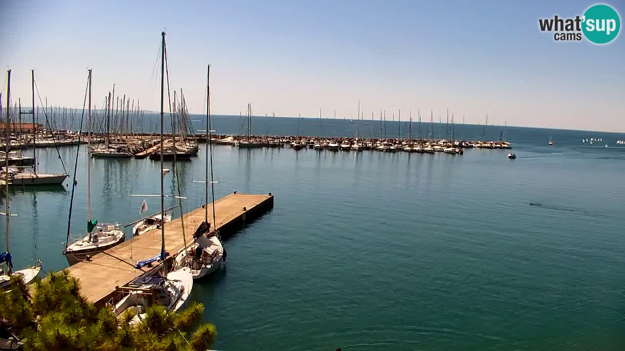 Webcam Sistiana Baia – Live View of the Marina and Gulf