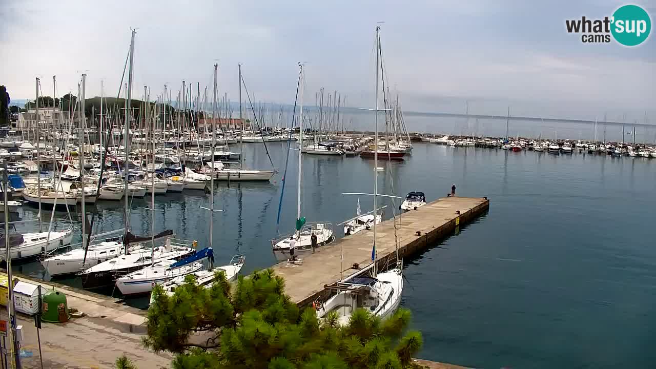 Webcam Sistiana Baia – Live View of the Marina and Gulf