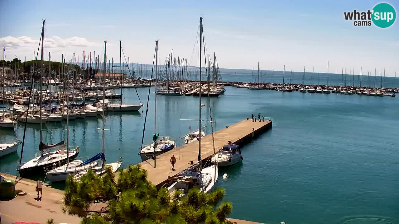 Webcam Sistiana Baia – Live View of the Marina and Gulf