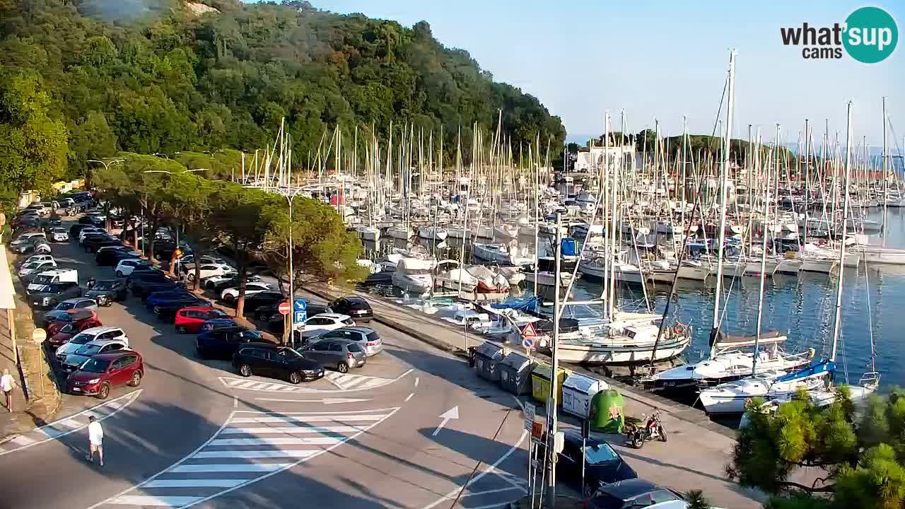 Spletna kamera Sesljanski zaliv – Pogled v živo na marino in zaliv
