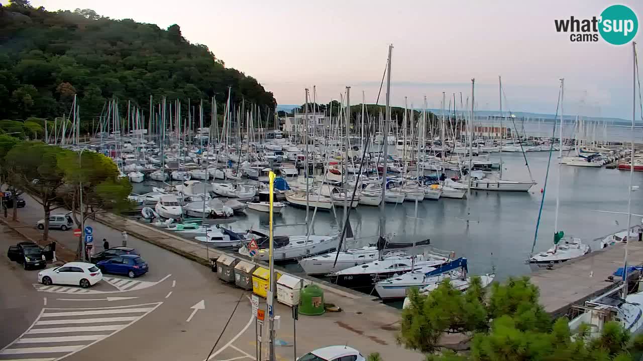 Webcam Sistiana Baia – Live View of the Marina and Gulf