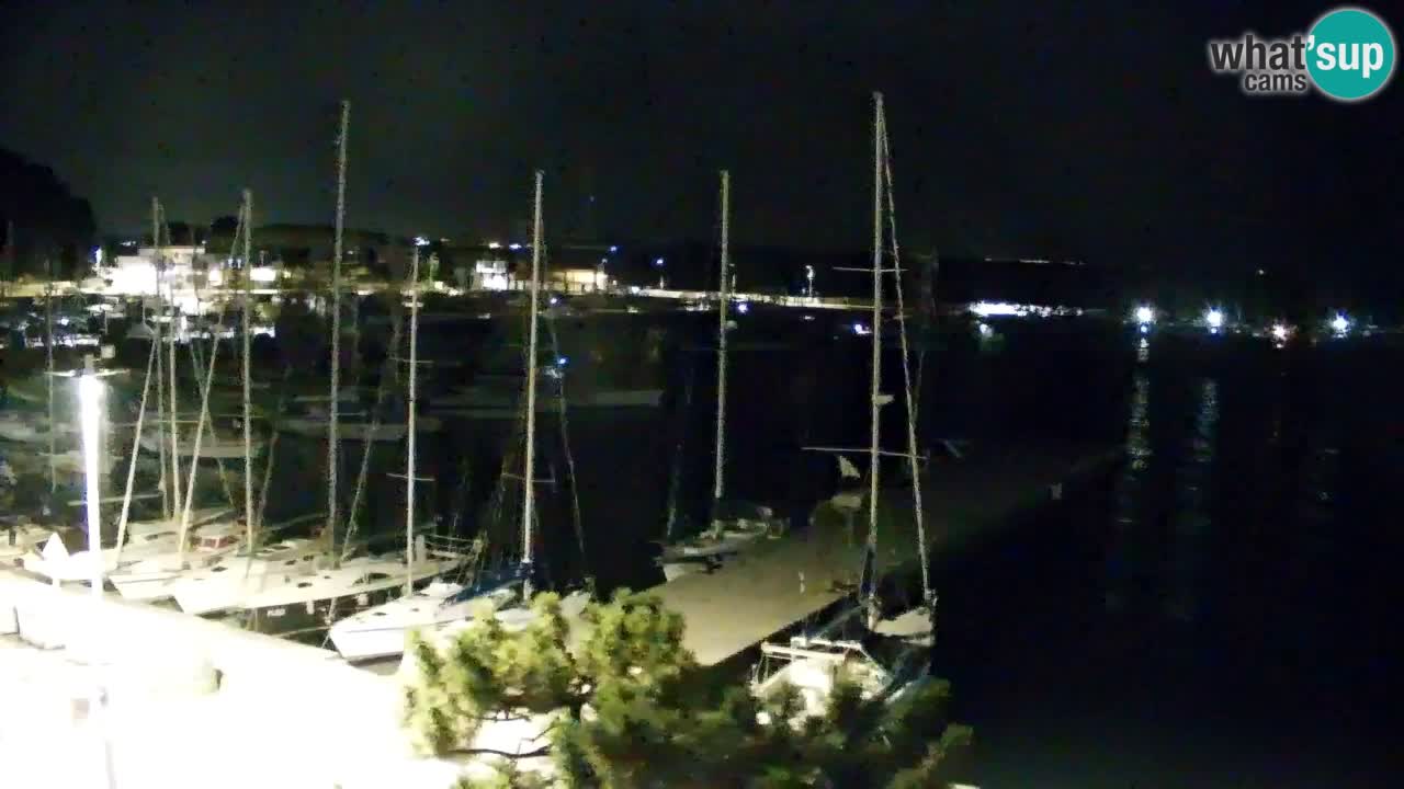 Webcam Sistiana Baia – Live View of the Marina and Gulf