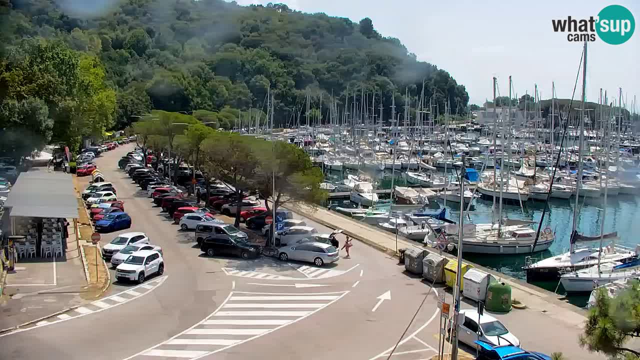 Webcam Baia di Sistiana – Marina e Golfo in diretta