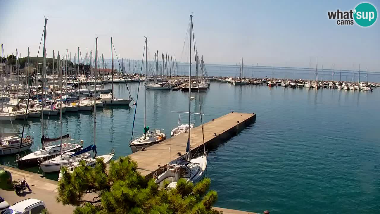 Webcam Baie de Sistiana – Vue en direct de la marina et de la baie