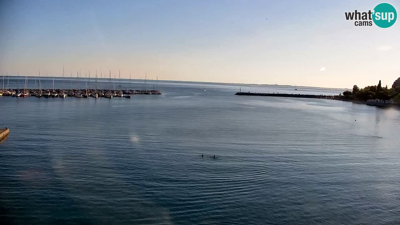 Webcam Bahía de Sistiana – Vista en directo del puerto deportivo y la costa