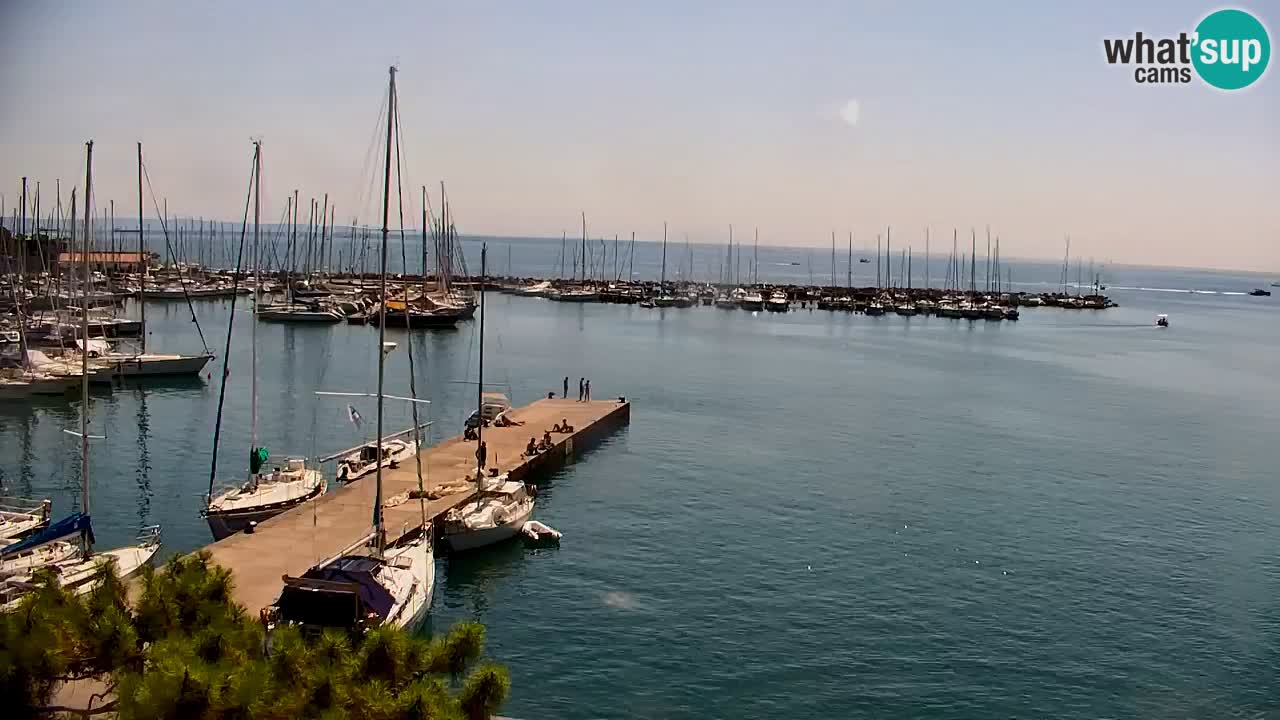 Webcam Sistiana Baia – Live View of the Marina and Gulf