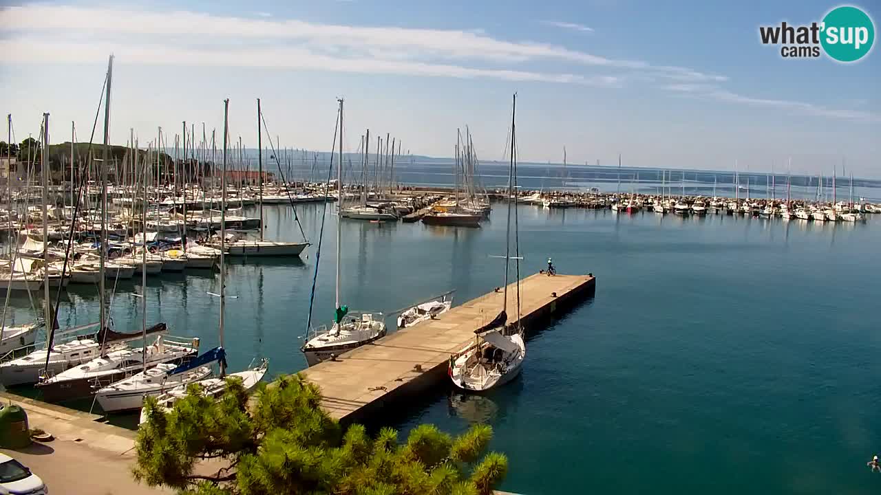 Webcam Bahía de Sistiana – Vista en directo del puerto deportivo y la costa