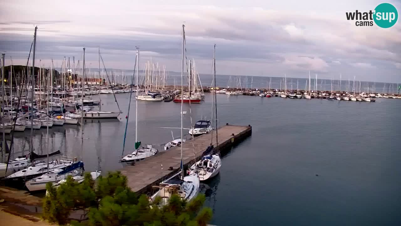Spletna kamera Sesljanski zaliv – Pogled v živo na marino in zaliv