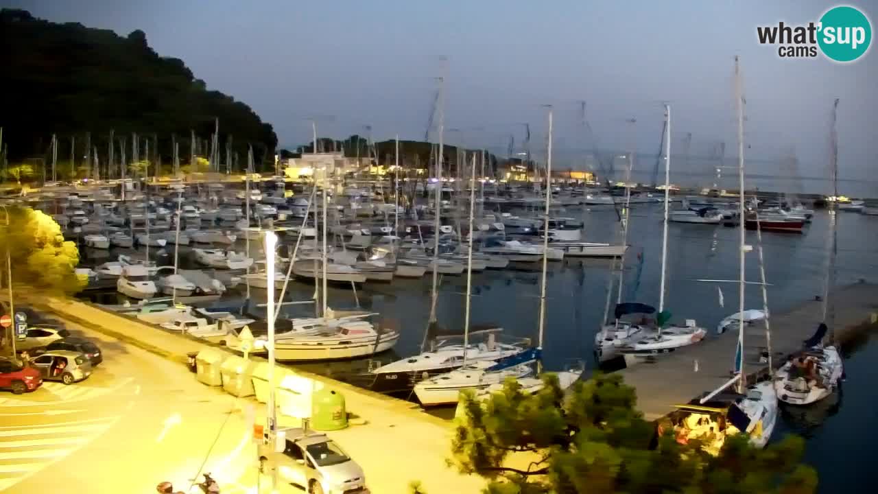 Webcam Bahía de Sistiana – Vista en directo del puerto deportivo y la costa