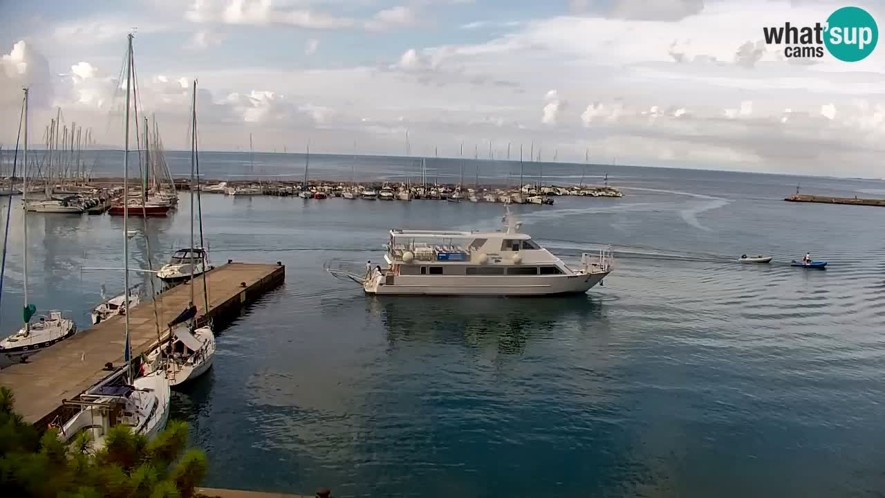 Webcam Baie de Sistiana – Vue en direct de la marina et de la baie