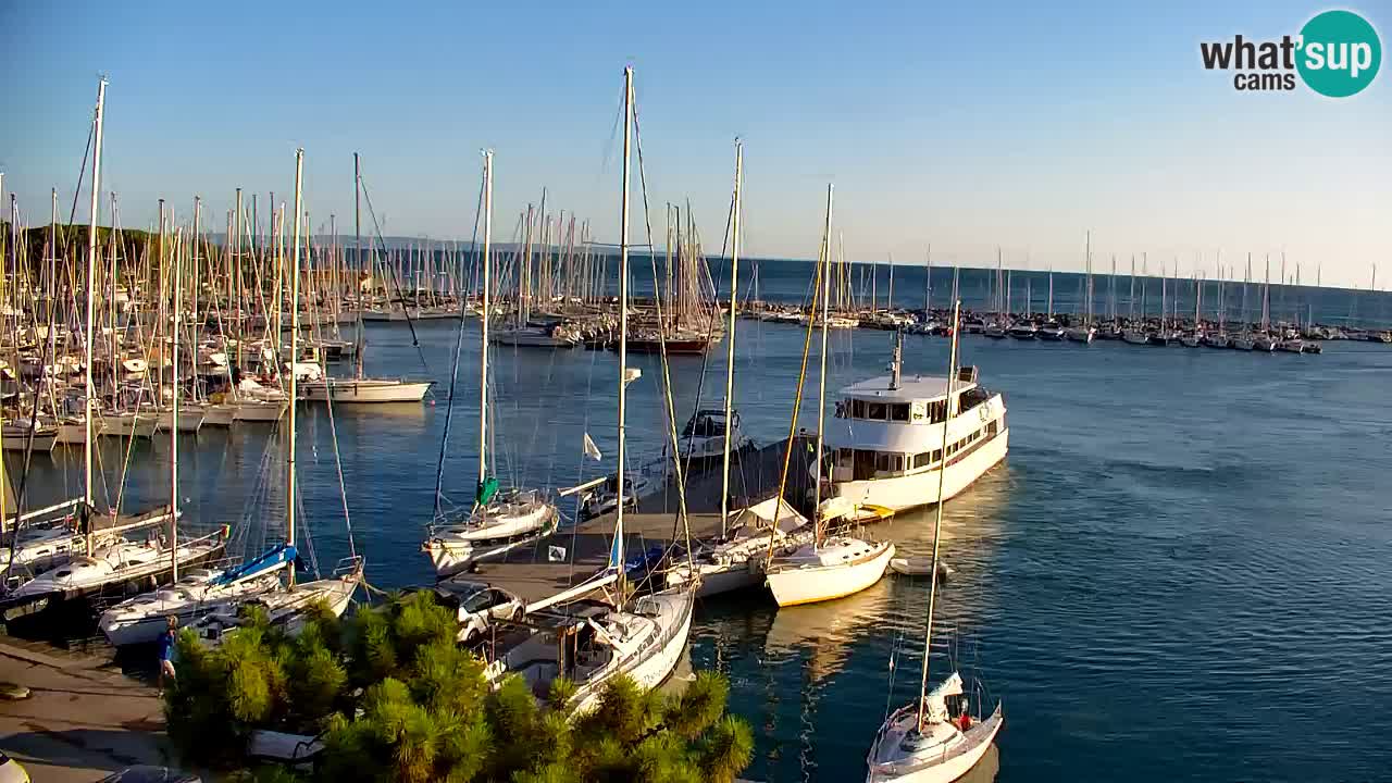 Spletna kamera Sesljanski zaliv – Pogled v živo na marino in zaliv