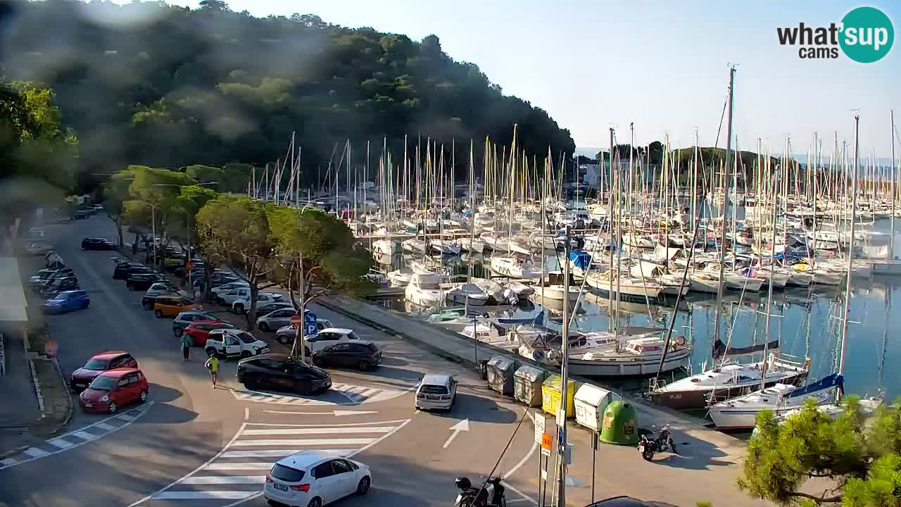 Webcam Sistiana Baia – Live View of the Marina and Gulf