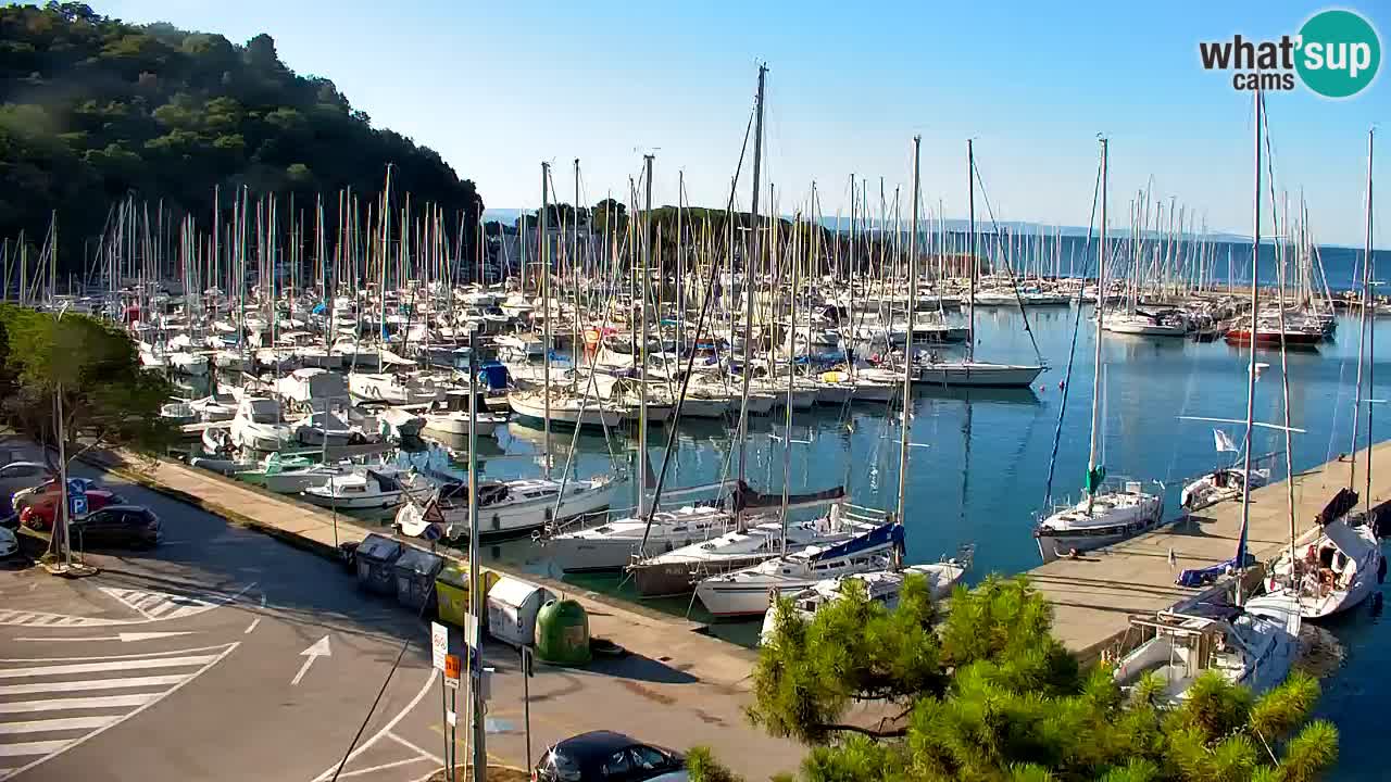 Webcam Bahía de Sistiana – Vista en directo del puerto deportivo y la costa