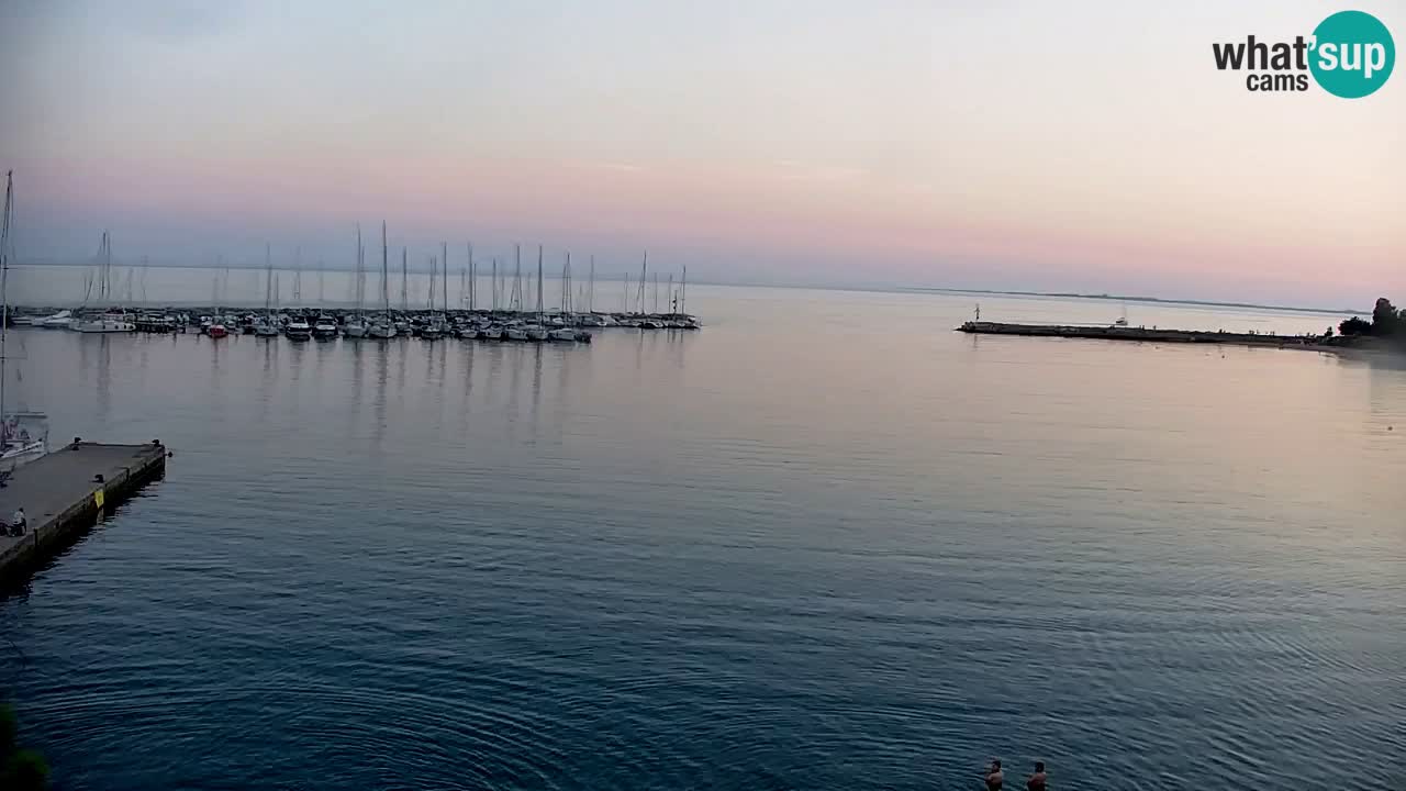 Webcam Sistiana Baia – Live View of the Marina and Gulf