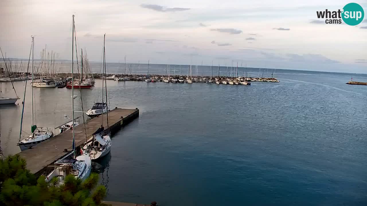 Webcam Sistiana Baia – Live View of the Marina and Gulf