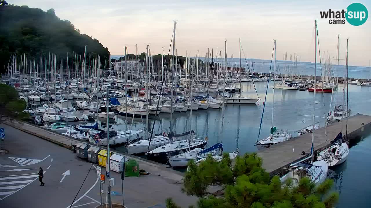 Webcam Sistiana Baia – Live View of the Marina and Gulf
