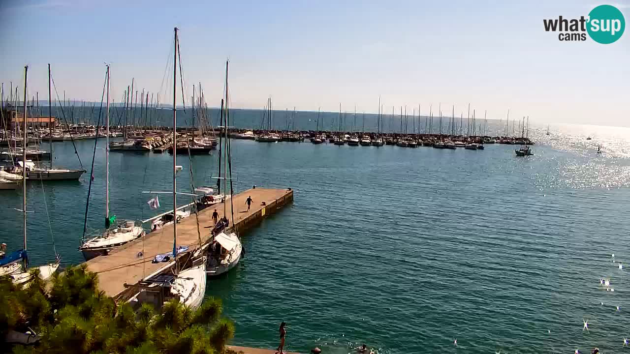 Webcam Sistiana Baia – Live View of the Marina and Gulf