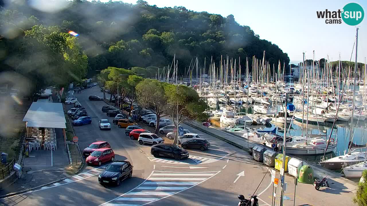 Webcam Bahía de Sistiana – Vista en directo del puerto deportivo y la costa