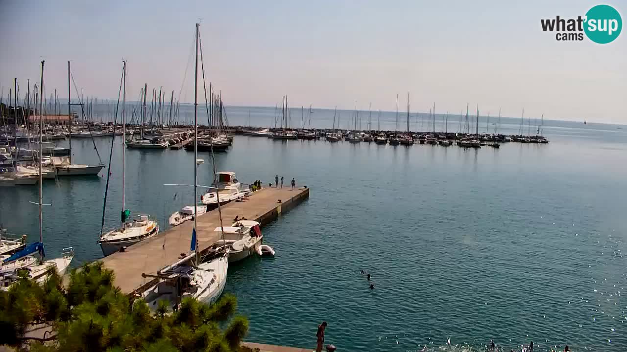 Webcam Bahía de Sistiana – Vista en directo del puerto deportivo y la costa
