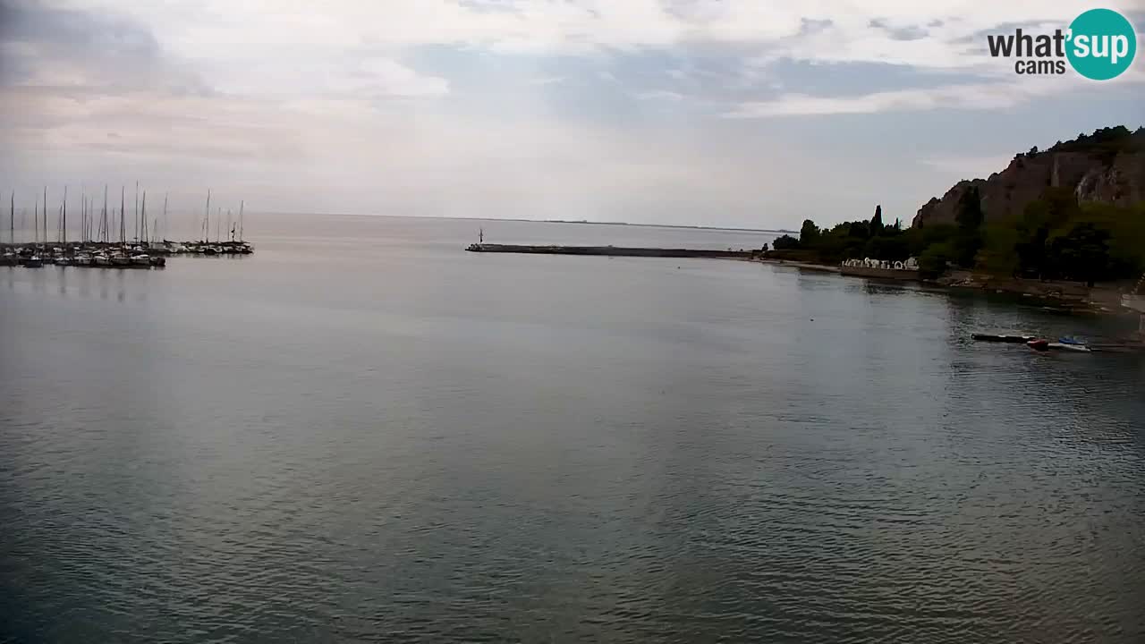 Web kamera Sistiana Uvala – Pogled uživo na marinu i zaljev