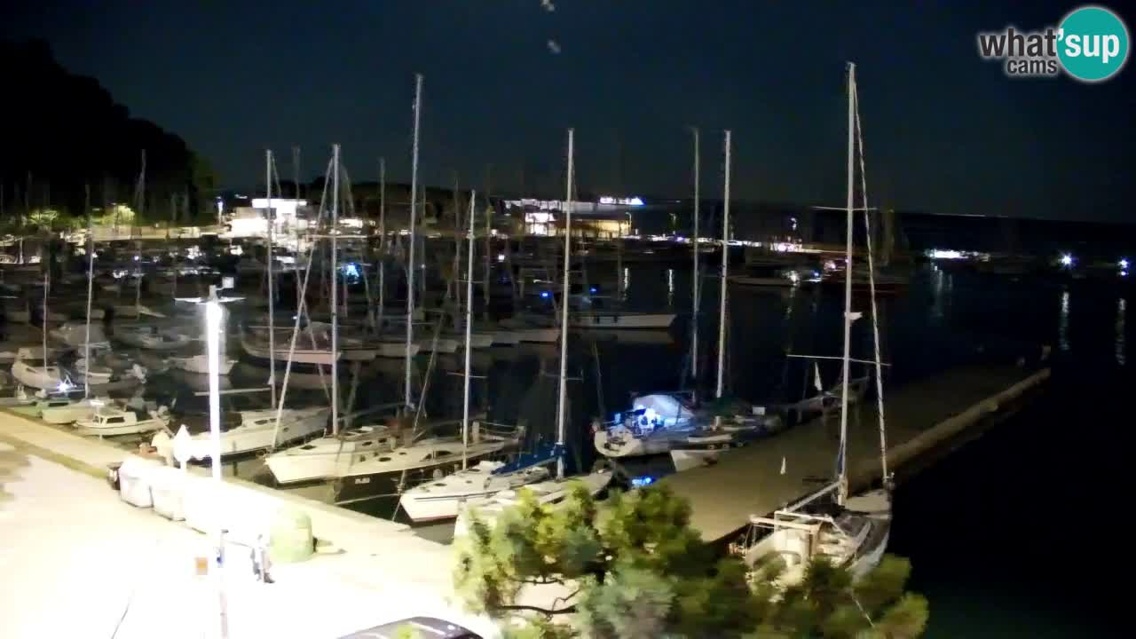 Web kamera Sistiana Uvala – Pogled uživo na marinu i zaljev