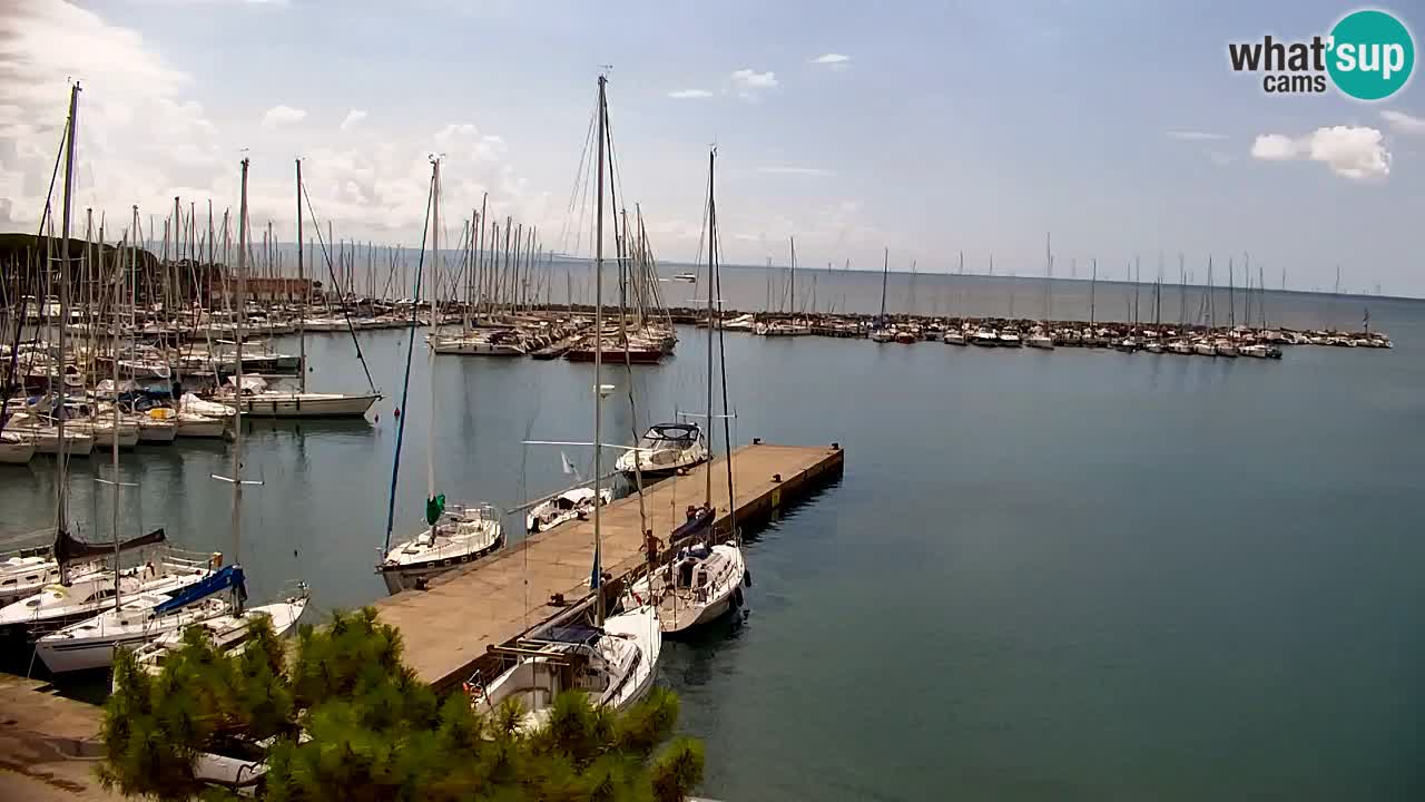 Webcam Sistiana Baia – Live View of the Marina and Gulf