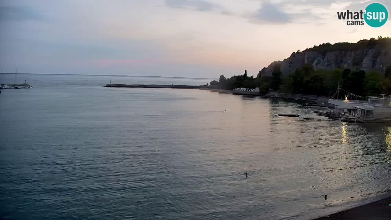 Webcam Sistiana Baia – Live View of the Marina and Gulf