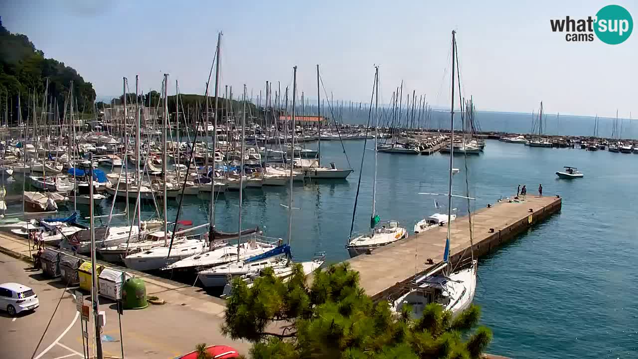 Webcam Baie de Sistiana – Vue en direct de la marina et de la baie