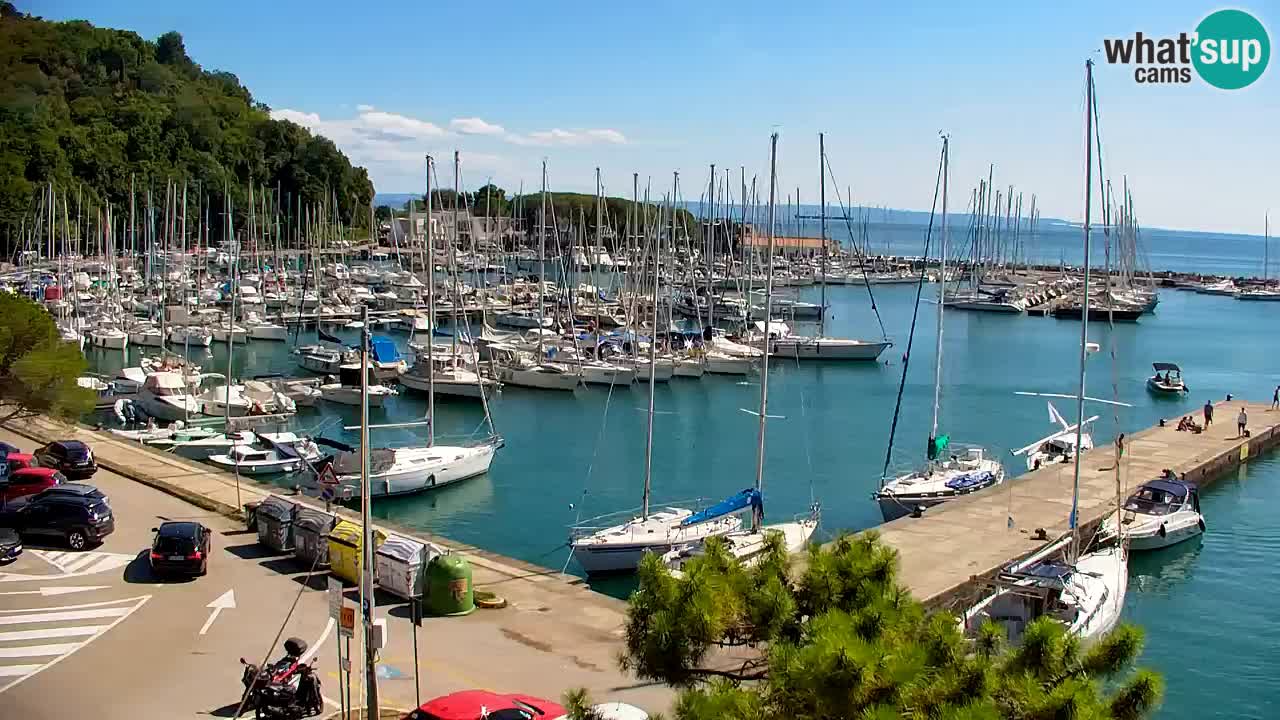 Webcam Bahía de Sistiana – Vista en directo del puerto deportivo y la costa