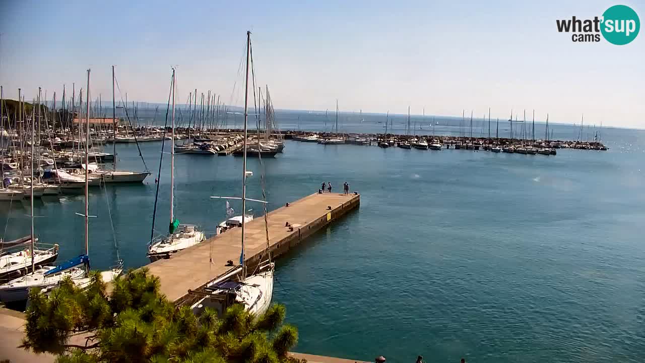 Webcam Sistiana Baia – Live View of the Marina and Gulf