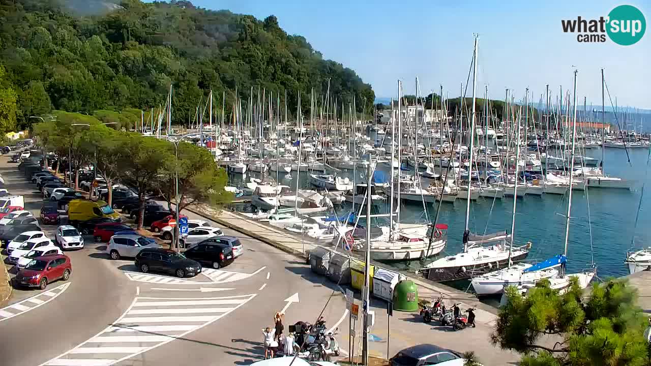 Webcam Sistiana Baia – Live View of the Marina and Gulf